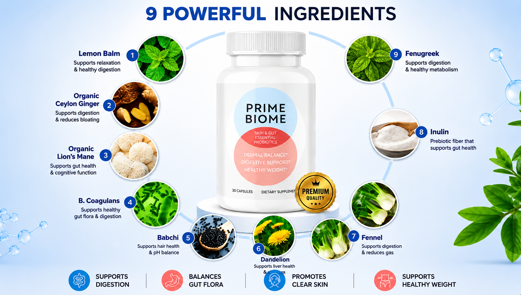PrimeBiome Ing ChatGPT